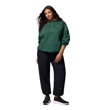 Columbia Aldermore Hoodie