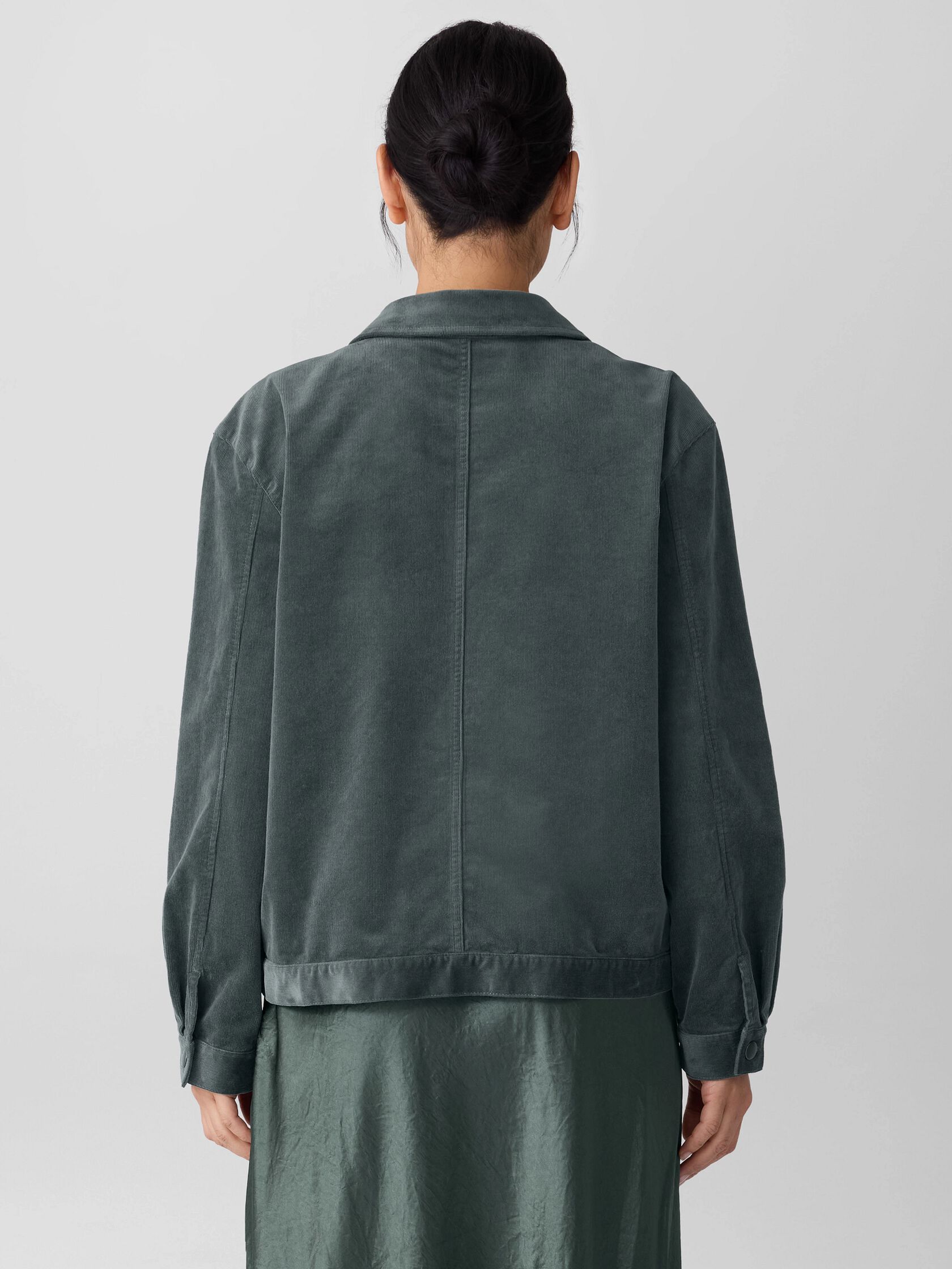 Eileen Fisher Classic Collar Jacket