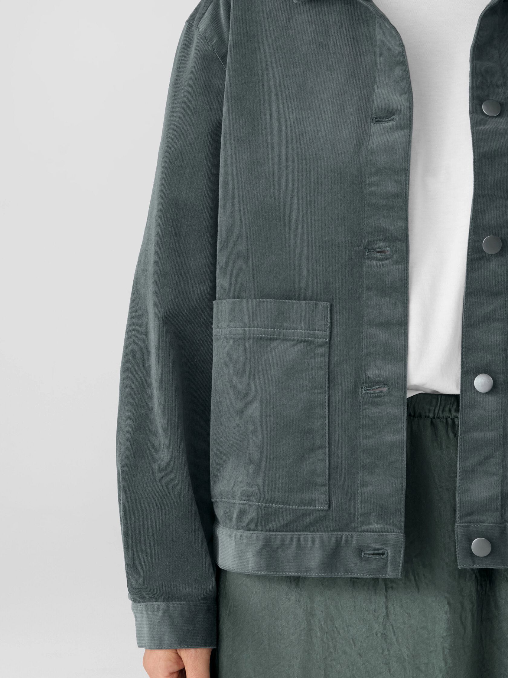 Eileen Fisher Classic Collar Jacket