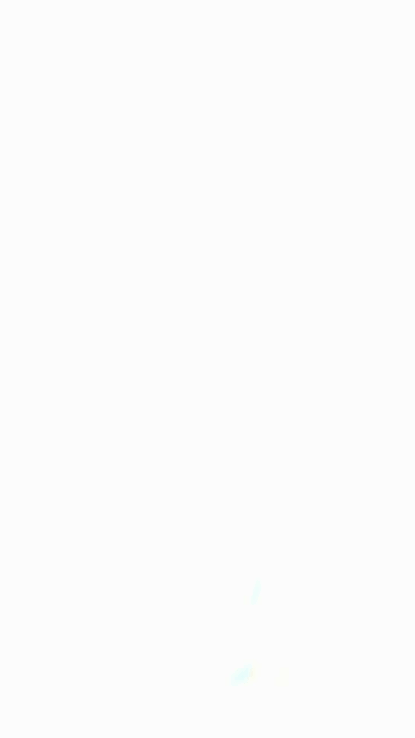 Junge test item