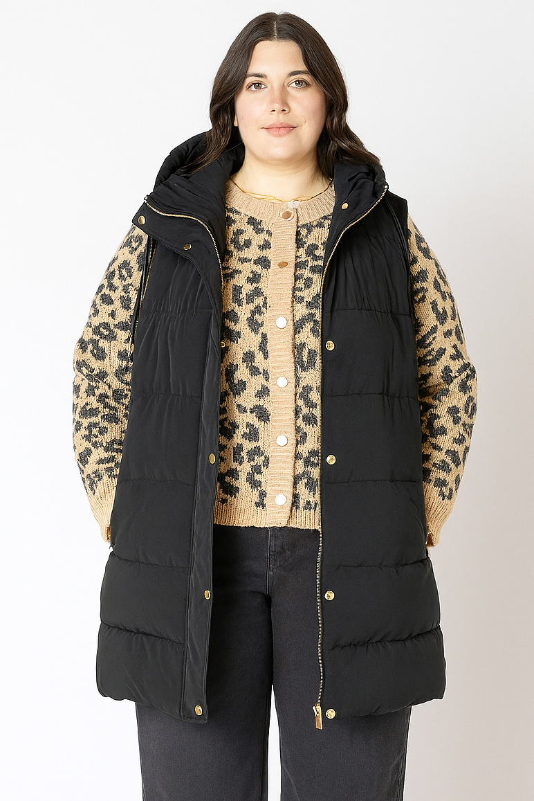 Dex Hooded Puffer Vest