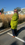 Marie La Lune Manteau A-Pigeon Coat