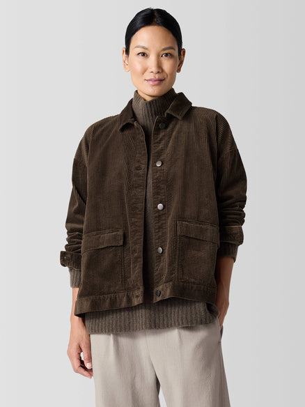 Eileen Fisher Classic Collar Jacket