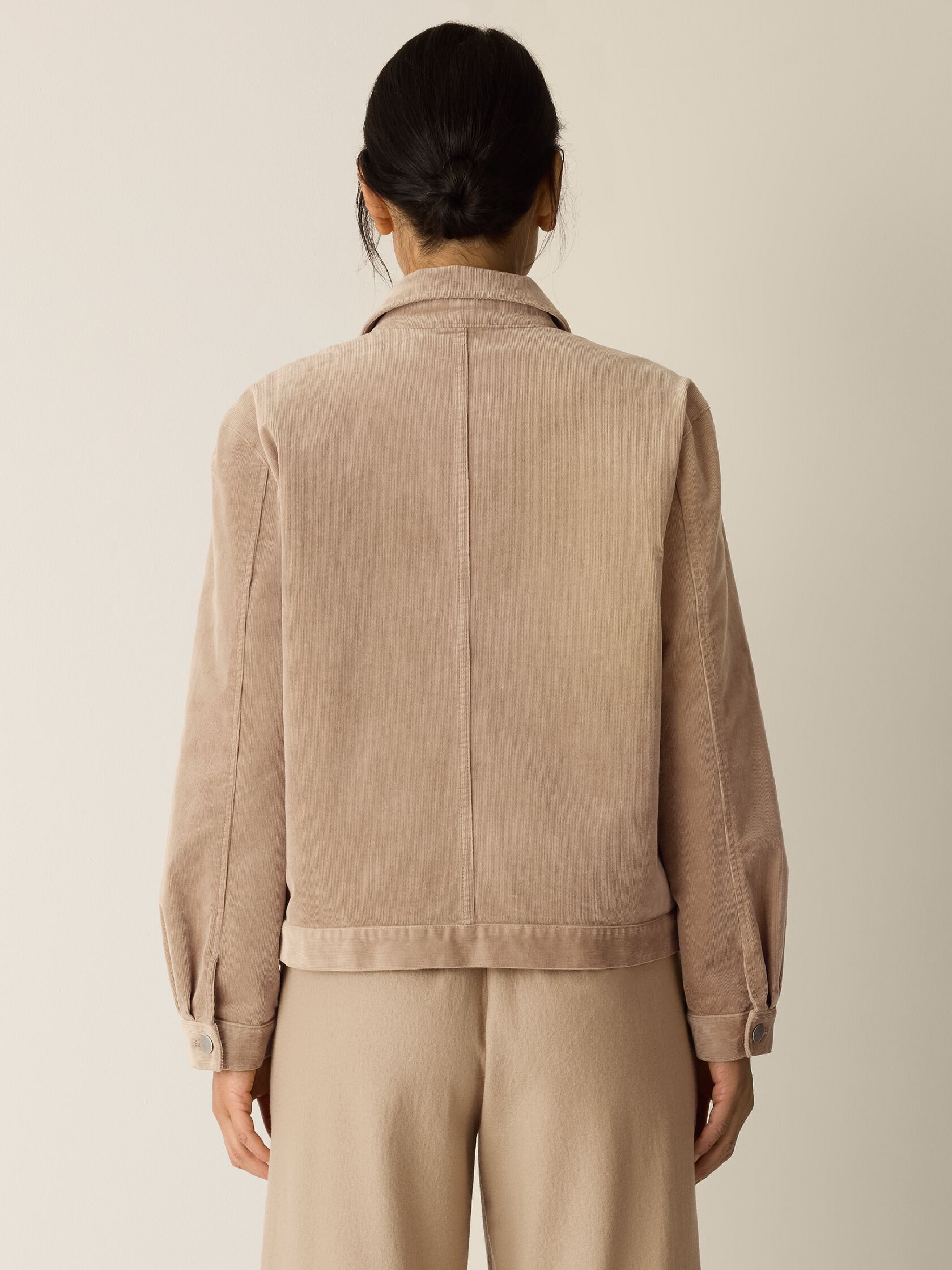 Eileen Fisher Classic Collar Jacket