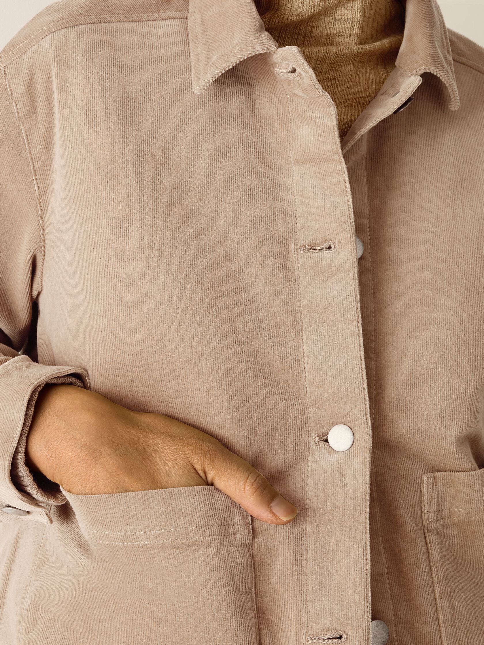 Eileen Fisher Classic Collar Jacket