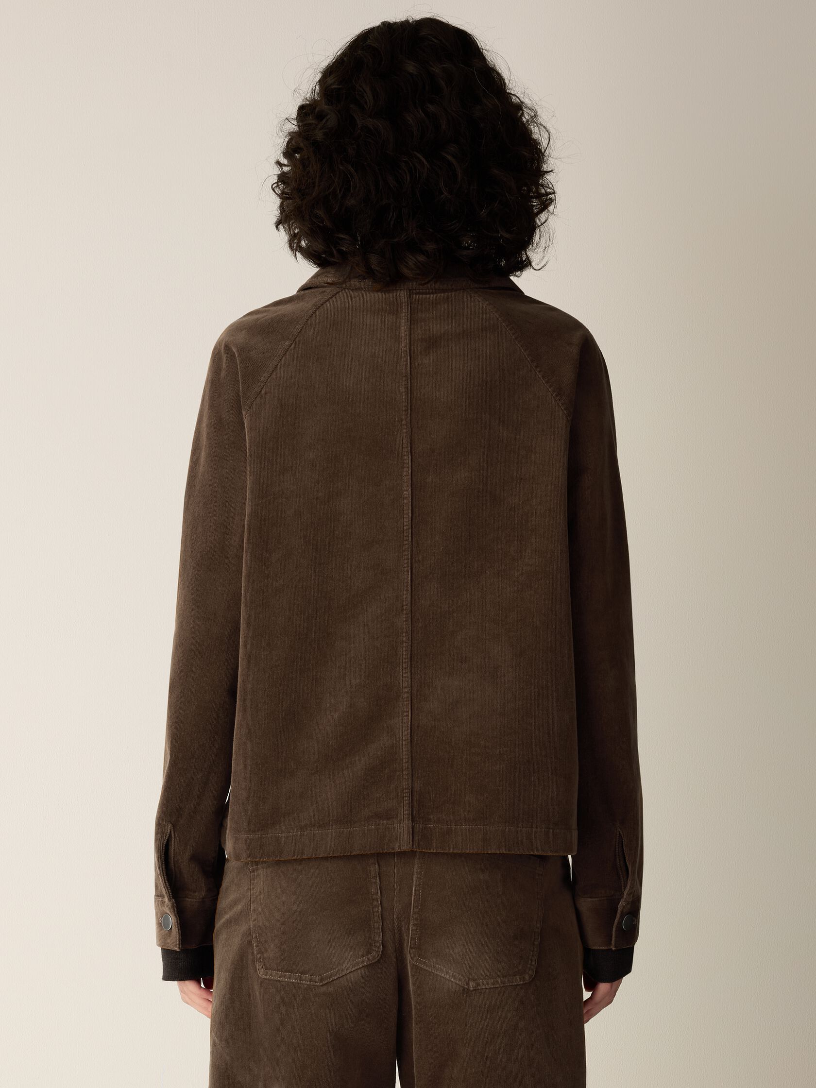 (Pre-Order) Eileen Fisher Classic Collar Jacket