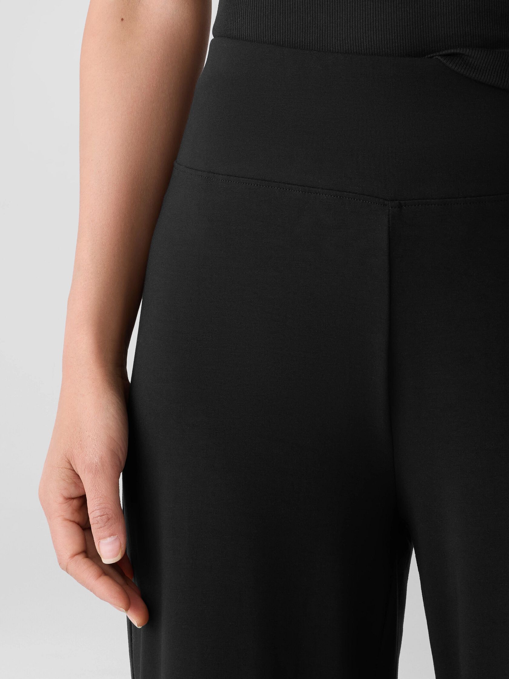 Eileen Fisher High Waisted Wide Floor Length Pant