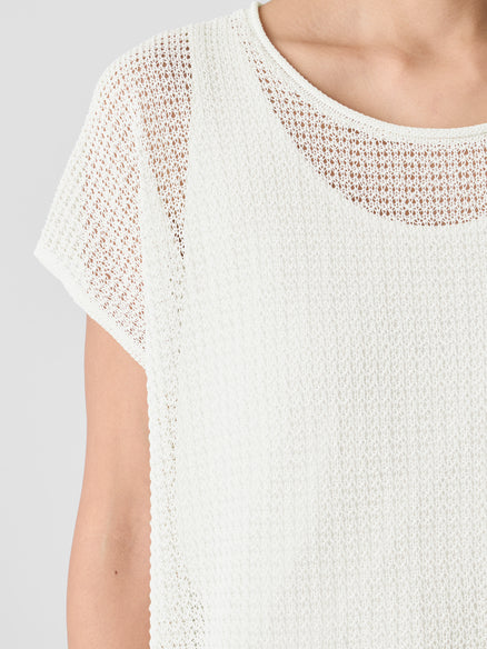 Eileen Fisher Jewel Neck Sweater