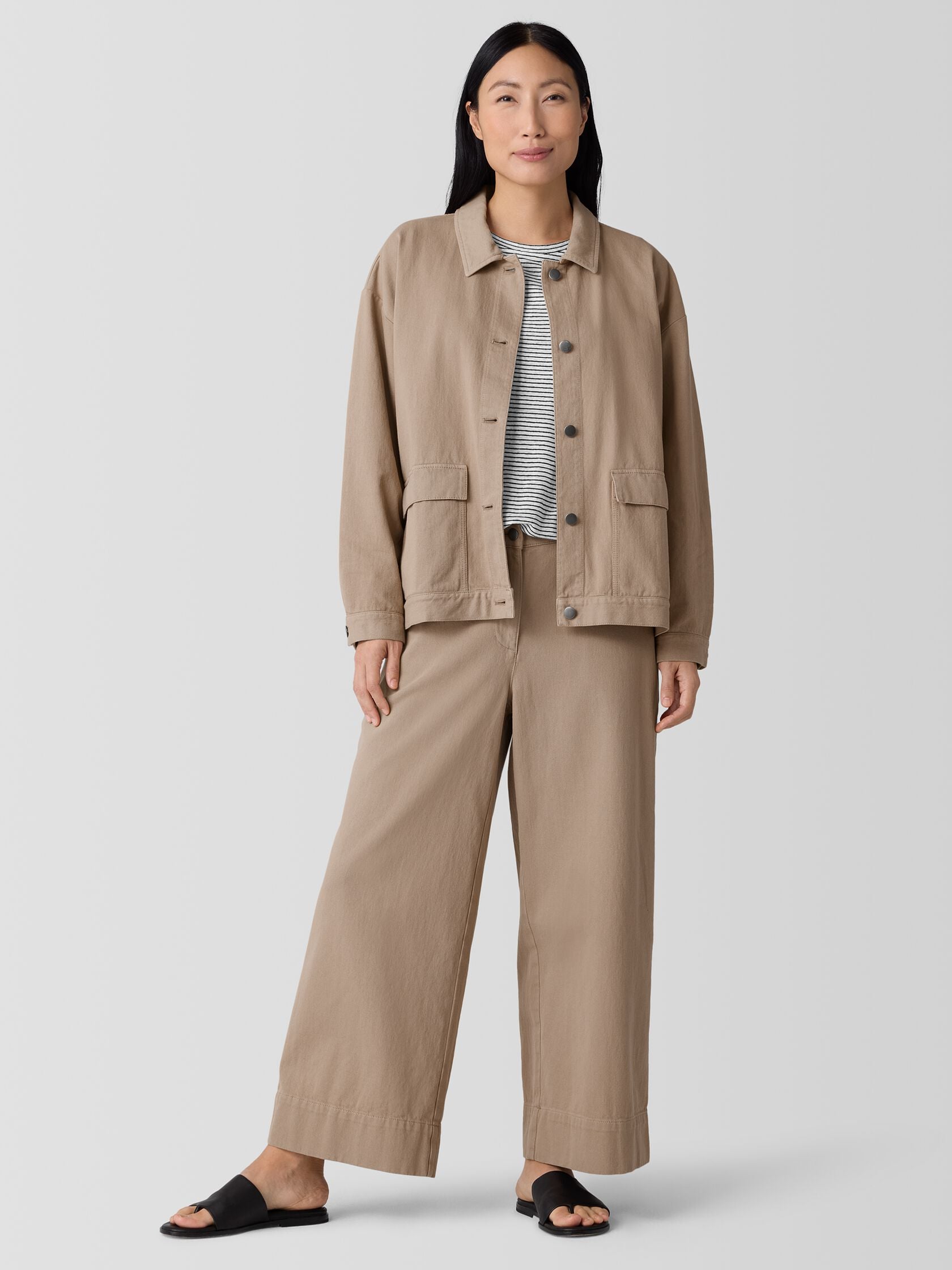 Eileen Fisher Classic Collar Jacket