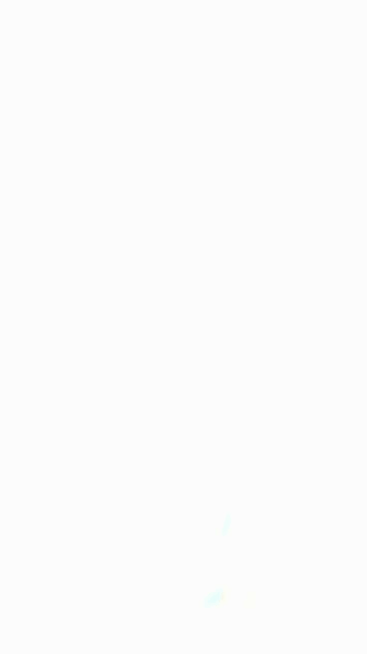 Junge test item