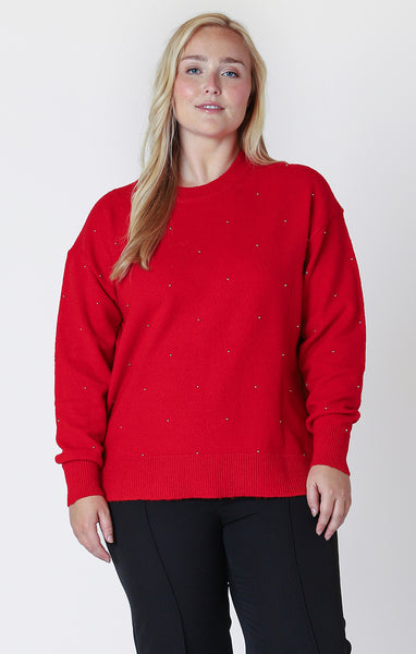 Dex Long Sleeve Embellished Sweater