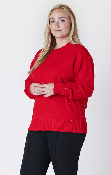 Dex Long Sleeve Embellished Sweater